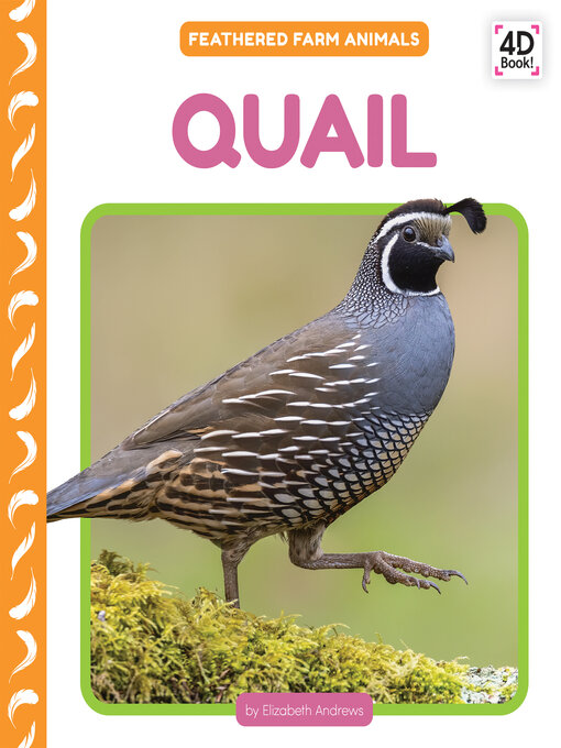 Title details for Quail by Elizabeth Andrews - Wait list